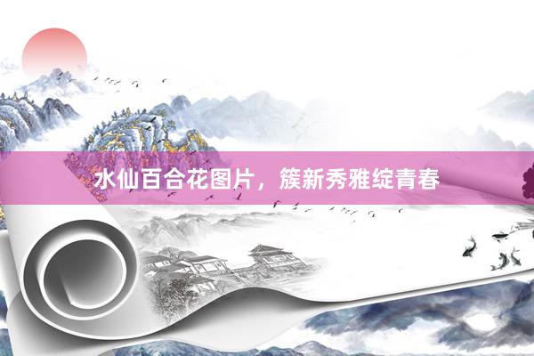 水仙百合花图片,簇新秀雅绽青春